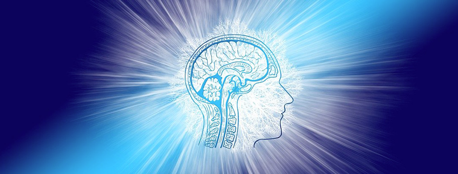 Dessin d'une tête transparente de profil avec vue sur le cerveau, sur fond bleu, représentant mon travail d'un hypnotiseur à Douai